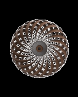 TR5 væglampe, birk/brun, 60 x 20 cm