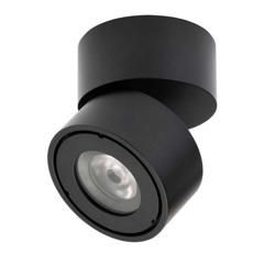 EASY W100 udendørs spot, sort