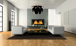 Discoco pendel, Medium