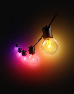 Philips Hue Festavia Globe lyskæde WCA (7 meter)