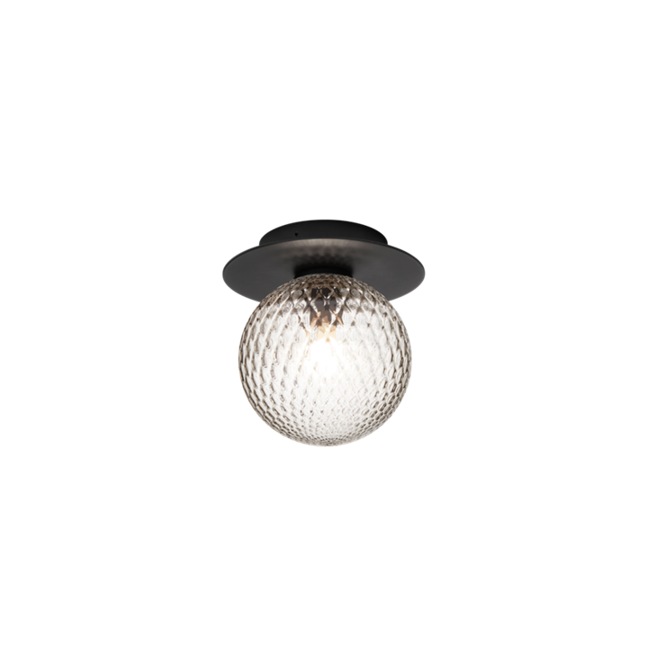 Liila 1 Outdoor væglampe / loftlampe, sort/klar