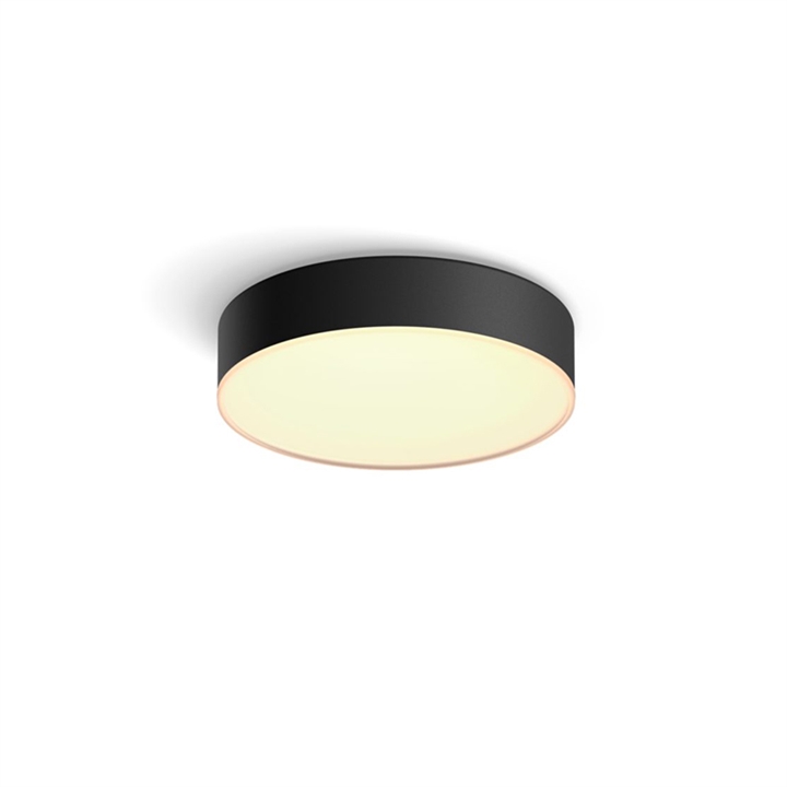 Philips Hue Enrave White Ambiance loftlampe small, sort