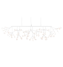 Heracleum III Linear, hvid