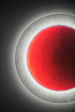 MOODMOON R85 væglampe