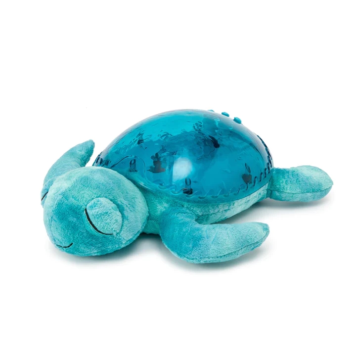 Tranquil Turtle, Aqua